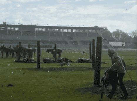 Un rayo mató a cuatro yeguas de polo en el Jockey Club de San Isidro