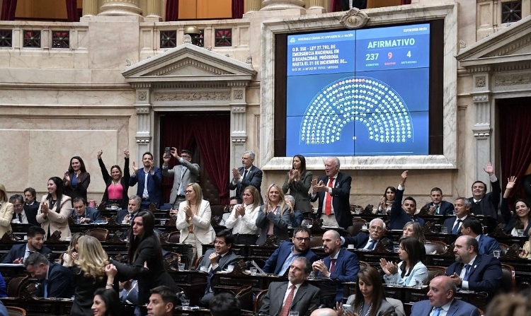 Discapacidad: Milei tuvo que ceder ante la presión opositora y Diputados aprobó una nueva ley con amplias concesiones